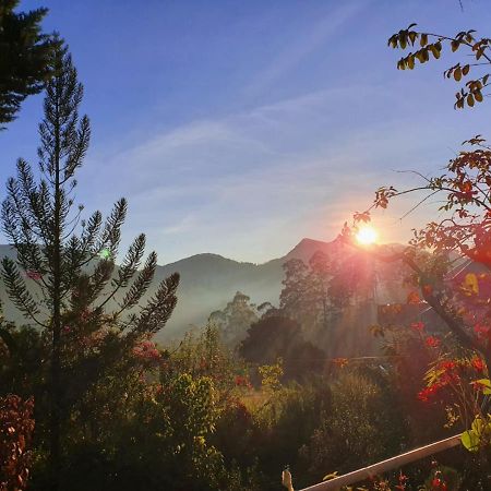 Princess Of Dickoya Homestay Hatton Eksteriør bilde