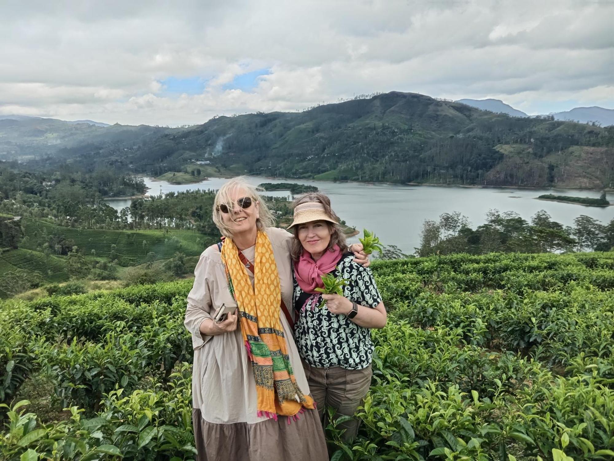 Princess Of Dickoya Homestay Hatton Eksteriør bilde