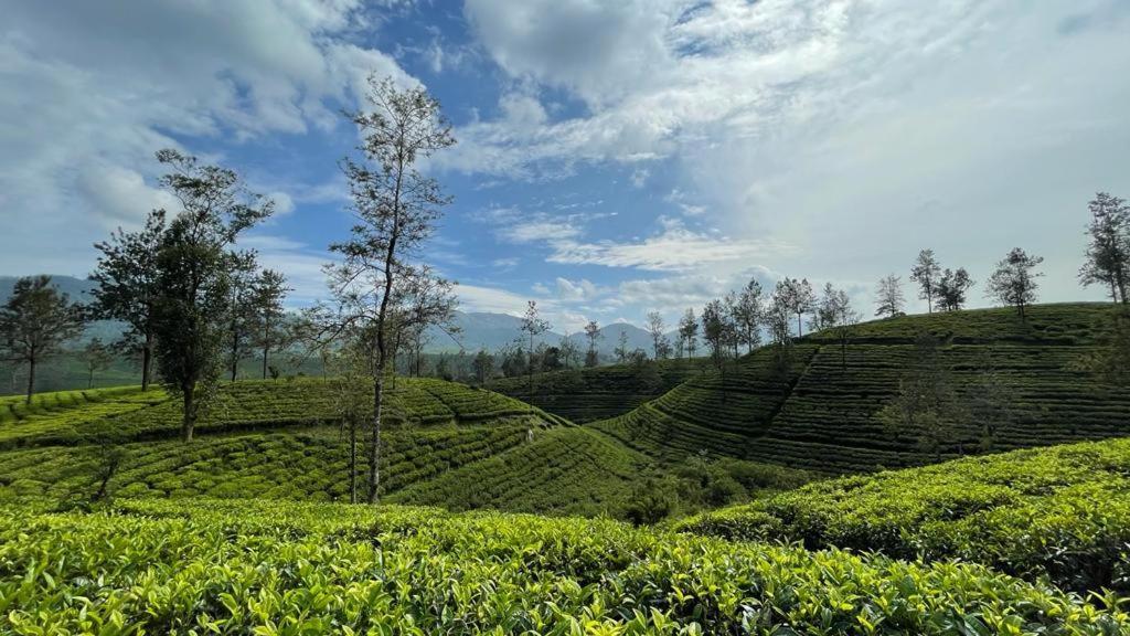Princess Of Dickoya Homestay Hatton Eksteriør bilde