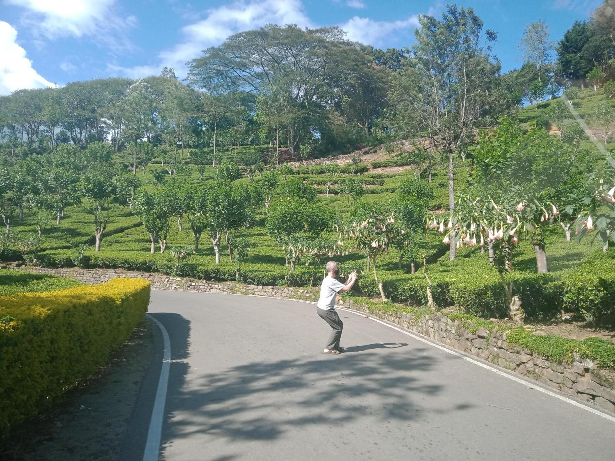 Princess Of Dickoya Homestay Hatton Rom bilde