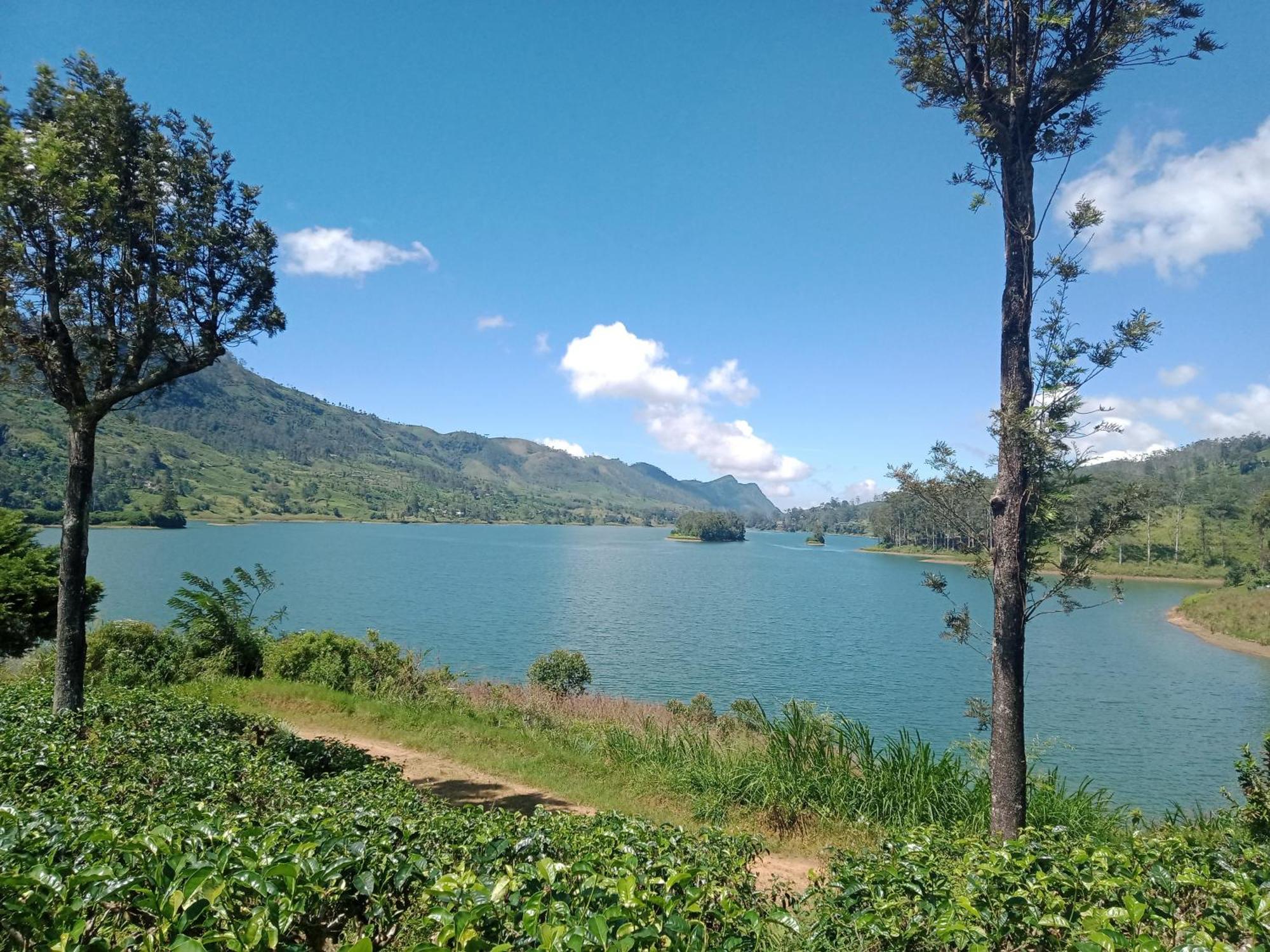 Princess Of Dickoya Homestay Hatton Rom bilde