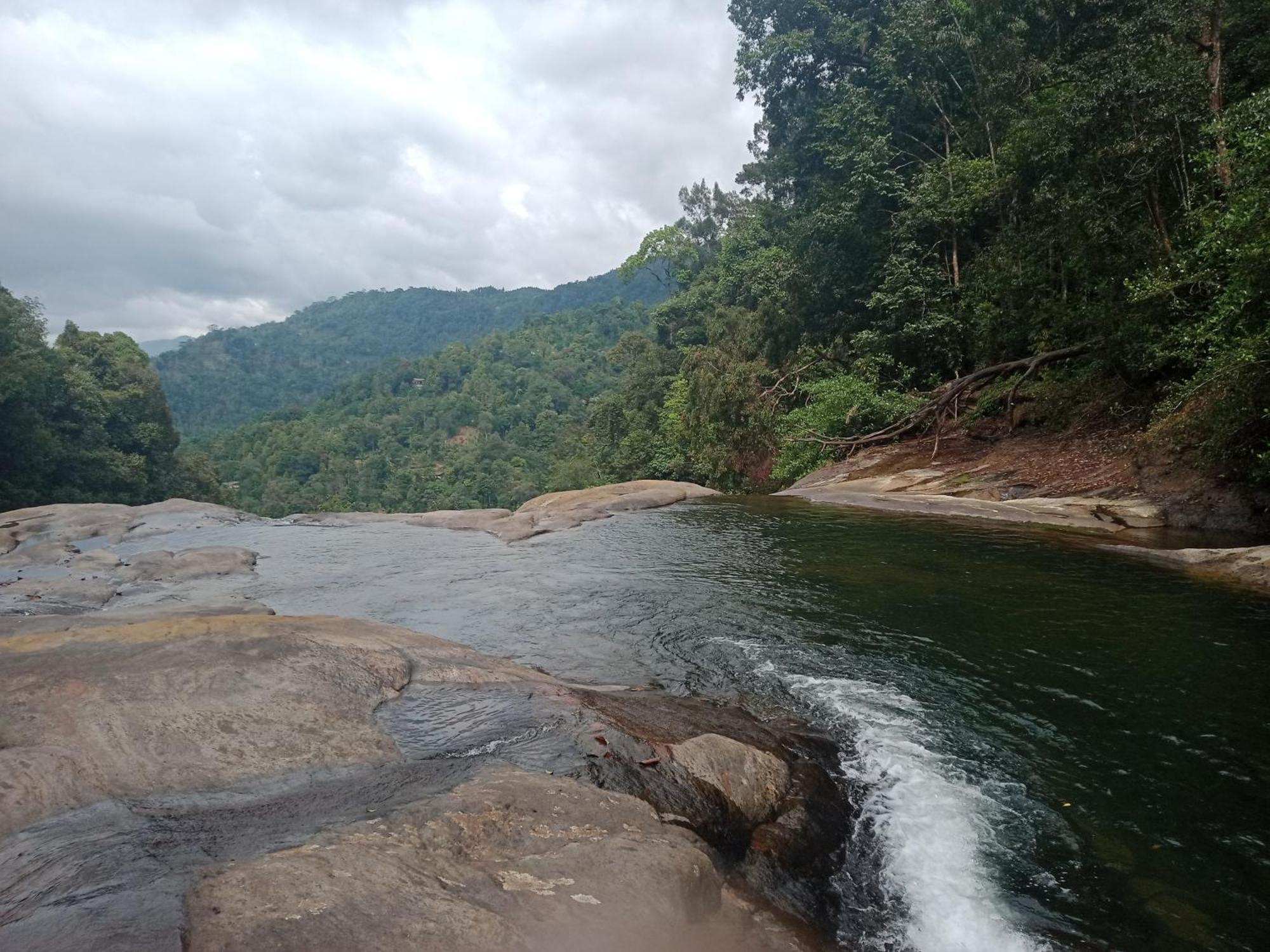 Princess Of Dickoya Homestay Hatton Rom bilde