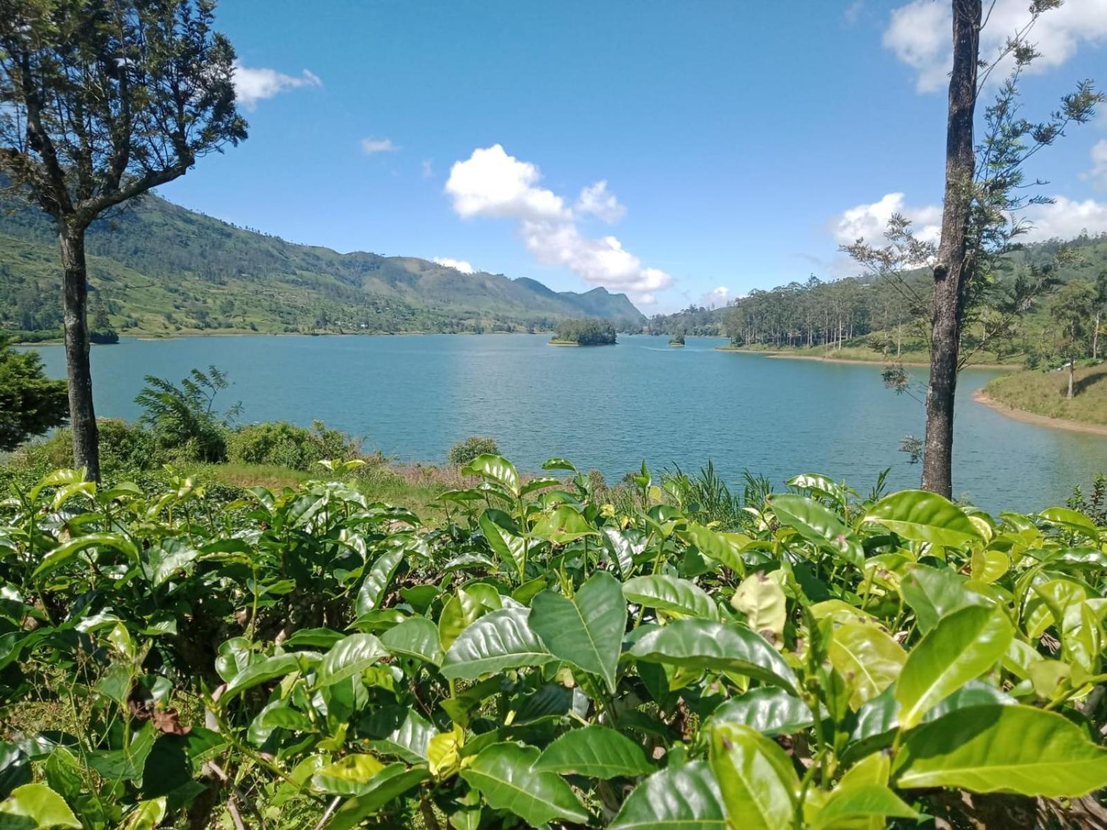 Princess Of Dickoya Homestay Hatton Rom bilde