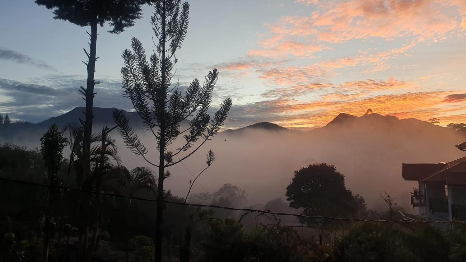 Princess Of Dickoya Homestay Hatton Rom bilde
